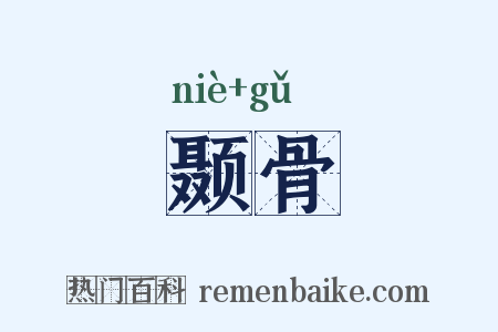 颞骨是什么意思的图片